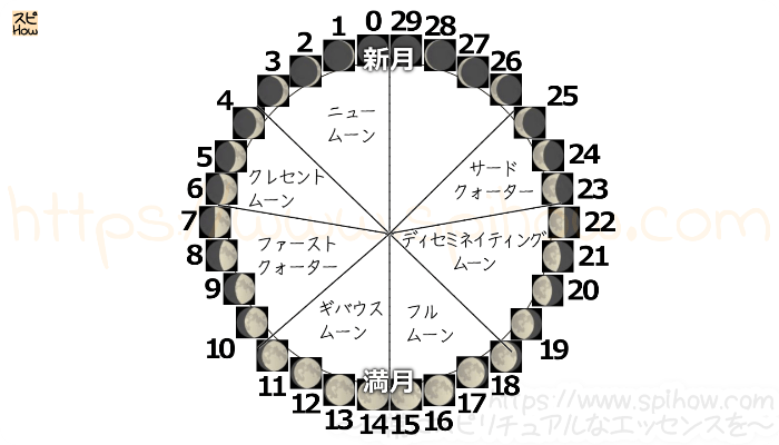 月齢サイクル図11