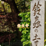 願いが叶うと有名な京都の鈴虫寺の説法を聞いて開運する方法