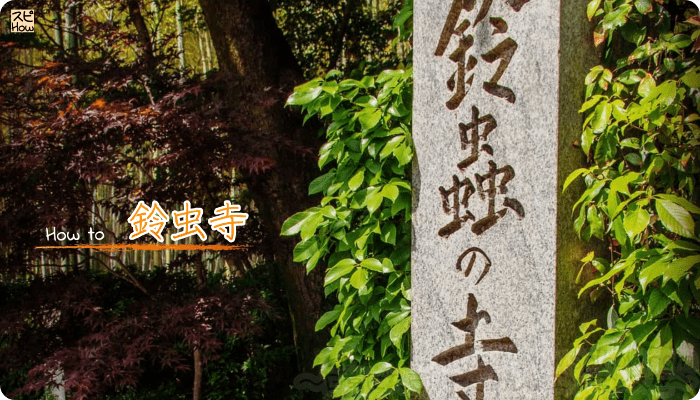 願いが叶うと有名な京都の鈴虫寺の説法を聞いて開運する方法
