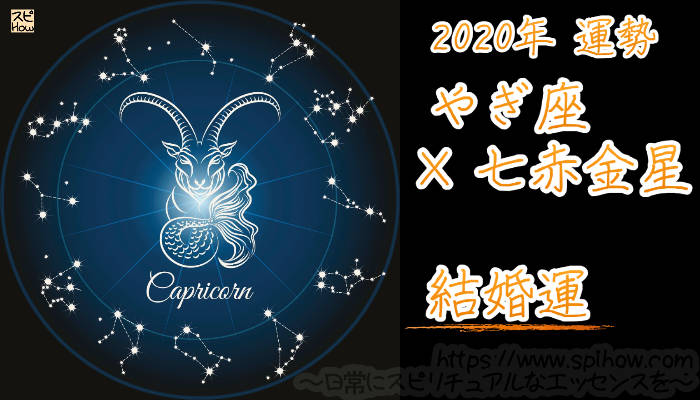 【結婚運】やぎ座×七赤金星【2020年】のアイキャッチ画像