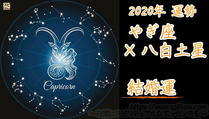 【結婚運】やぎ座×八白土星【2020年】のアイキャッチ画像
