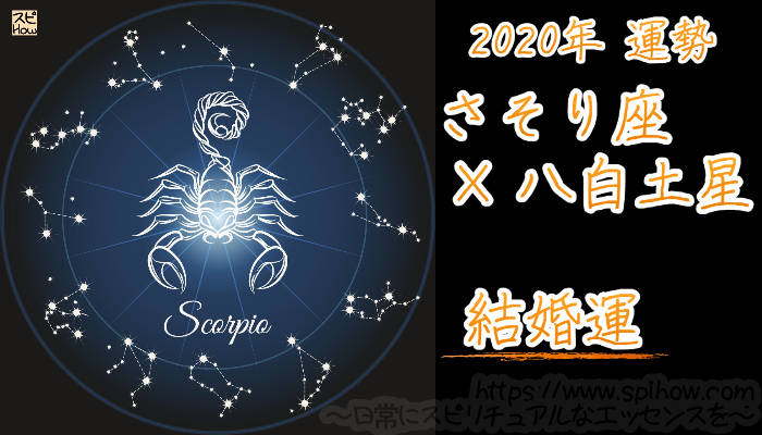 【結婚運】さそり座×八白土星【2020年】のアイキャッチ画像